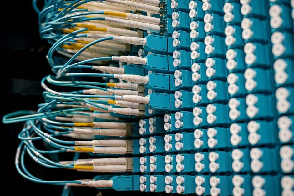 The ABCs of Network Cabling: Everything You Need to Know