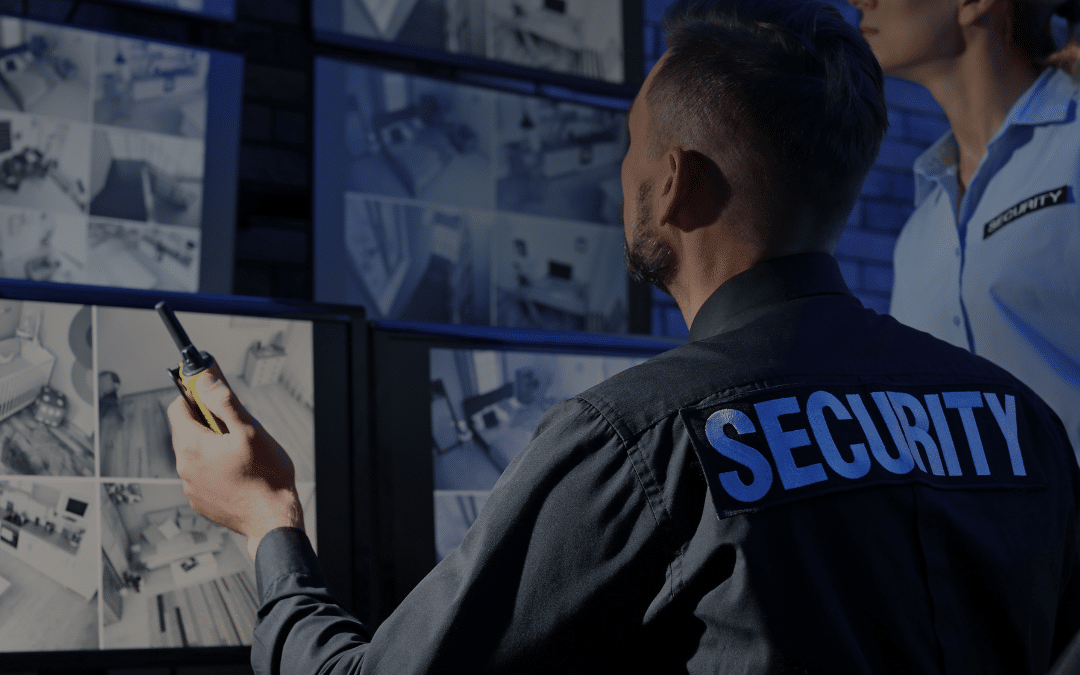 Choosing the Right Security Camera System for Small Businesses