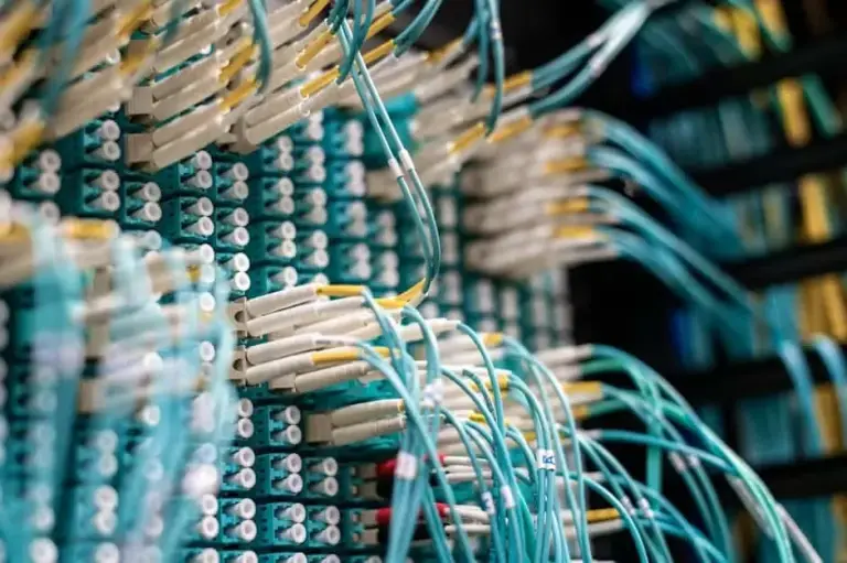 Close-up of aqua fiber jumpers plugged into dense rows of connectors on a fiber patch panel