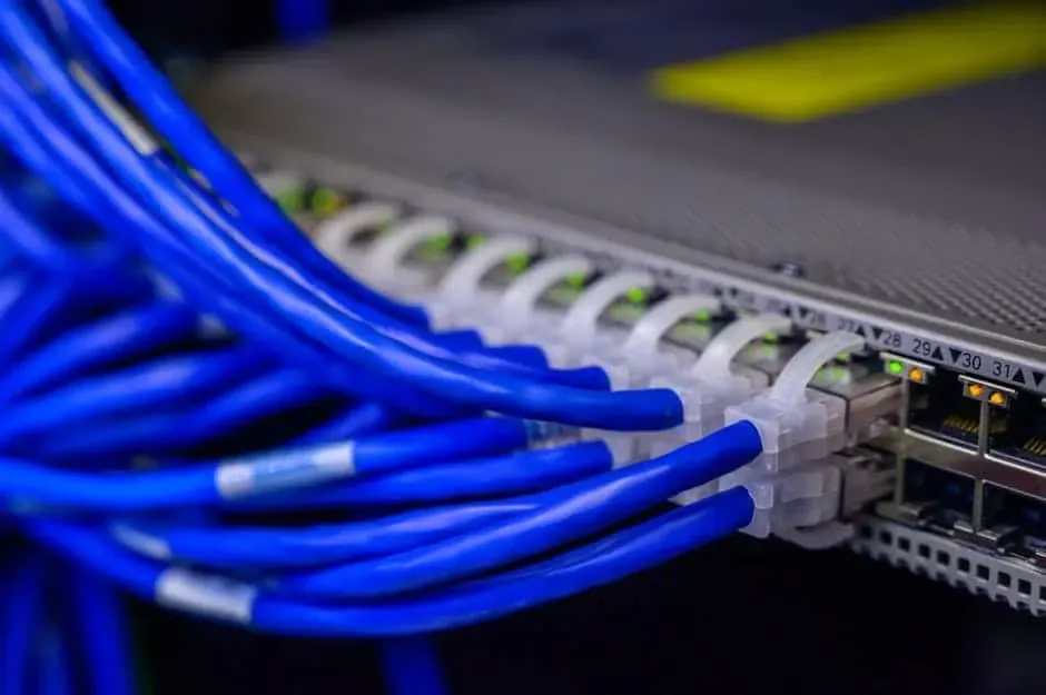 Blue patch cables plugged into switch ports with green link lights