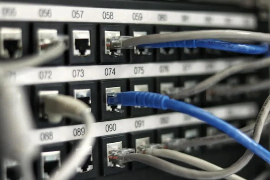 Gray and blue patch cables plugged into numbered ports on a patch panel