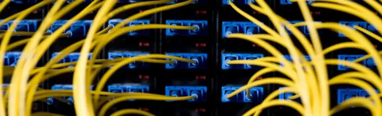 Yellow fiber patch cords connected to blue adapters in a dark fiber panel