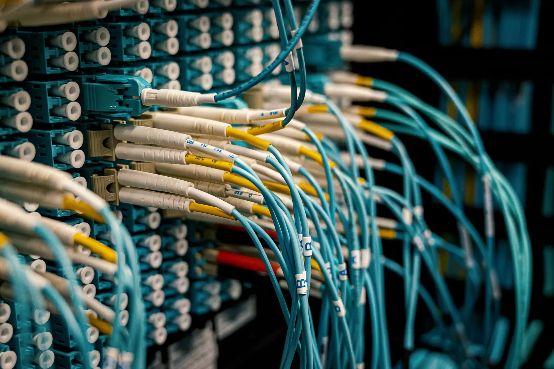 Fiber optic patch panel with blue jumpers connected